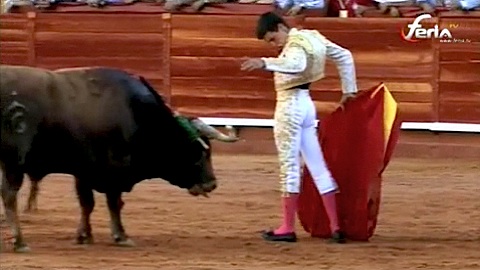 toreria-de-david-galvan