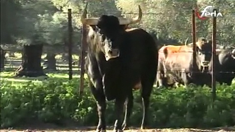 visite-chez-lagunajanda