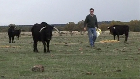 ganaderia-adelaida-rodriguez