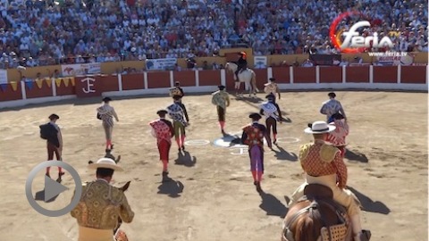 buen-final-de-ceret-de-toros-2017