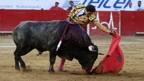 guadalajara-corrida-de-los-encinos