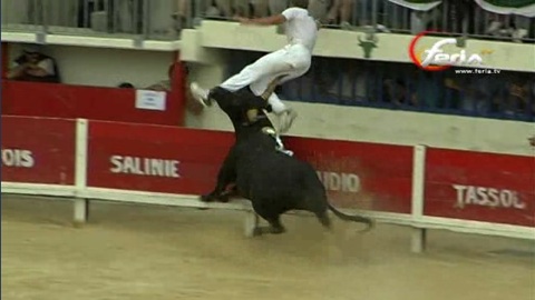 guepard--biou-d-or-2010