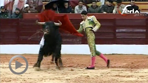 olivenza-triomphe-de-talavante