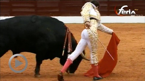 olivenza-puerta-grande-de-gines-marin