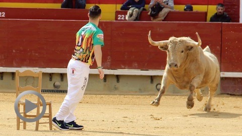 castellon-extraordinaire-concours-de-recortadores-de-la-magdalena