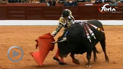 oreille-de-poids-pour-garrido-a-olivenza