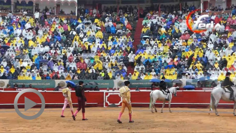 Manizales. Faenón de Castella. Oreja por coleta