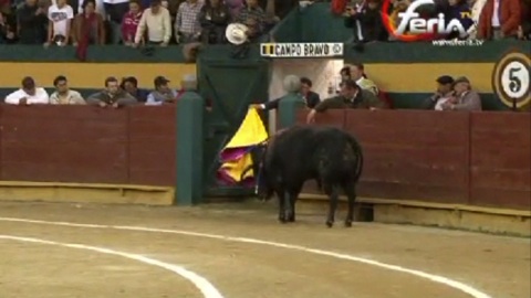 double-indulto-a-riobamba