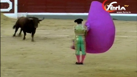 el-fandi-hisse-la-voile