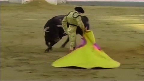 jaen-une-oreille-par-coleta