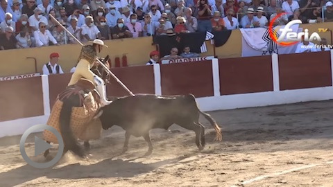 ceret-destaca-el-picador-jean-loup-aillet-con-los-raso-de-portillo
