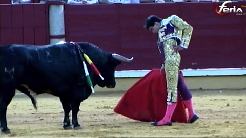 jimenez-fortes-a-cordoba