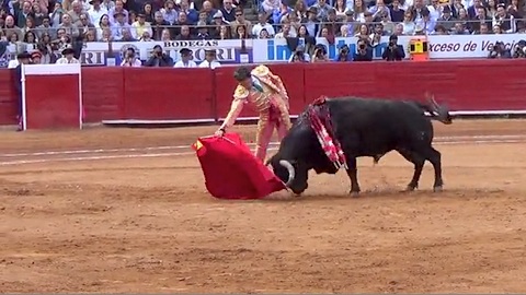 México. José Tomas