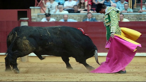 jose-luis-moreno-a-gusto