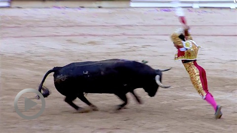 san-fermin-oreille-des-penas-pour-colombo