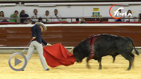 festival-cali-luis-bolivar-et-gladiador