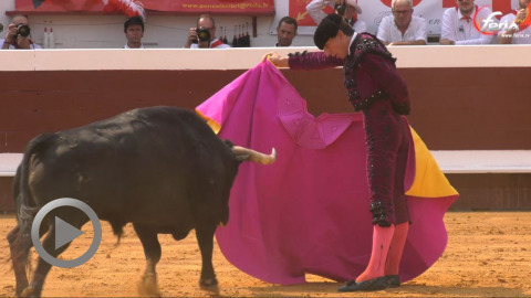 dax-novillada-sin-espada