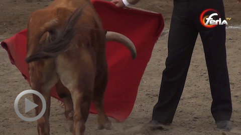 festival-chez-apostol-santiago