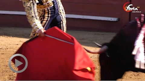 eauze-cornada-pour-dufau-et-domination-de-castella