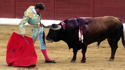 carton-plein-sur-toute-la-linea