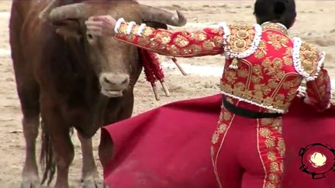 du-vent-et-des-novillos-a-las-ventas