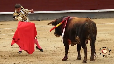 pinceladas-sin-espadas