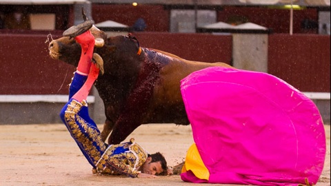 las-ventas-novillada-accidentee
