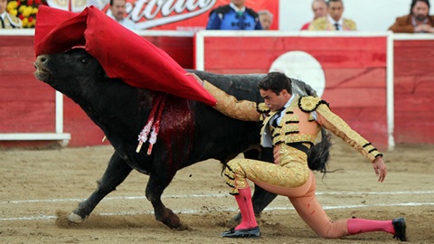 leon-triomphe-de-juan-pablo-sanchez