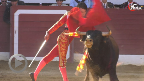 aire-sur-ladour-les-novillos-de-raso-de-portillo-au-dessus-de-la-terna