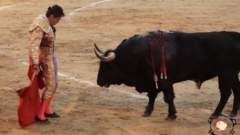 une-premiere-de-san-isidro-accidentee