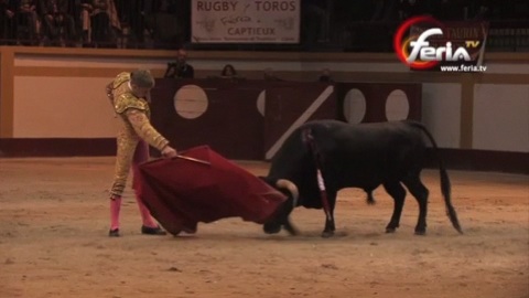 clemente-coupe-la-seule-oreille