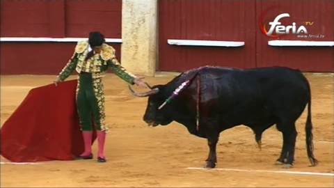 morante-a-gusto-en-malaga