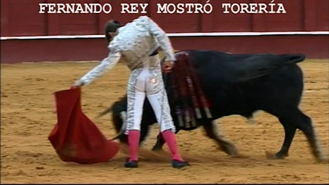 toreria-de-fernando-rey-a-malaga