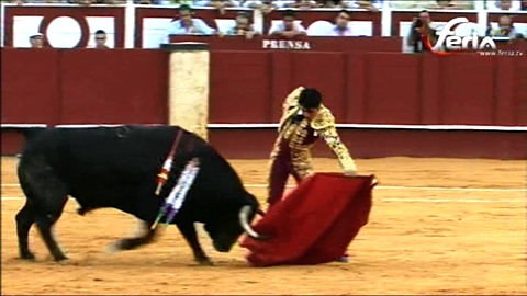malaga-oreja-para-salvador-vega
