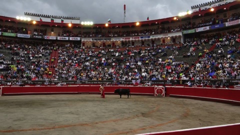 manizales-2014-novillada.jpg