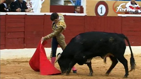 marbella-javier-orozco-a-hombros