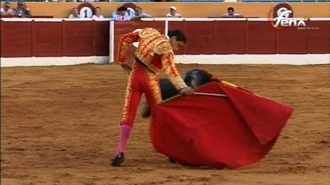 marbella-novillada-sans-picadors