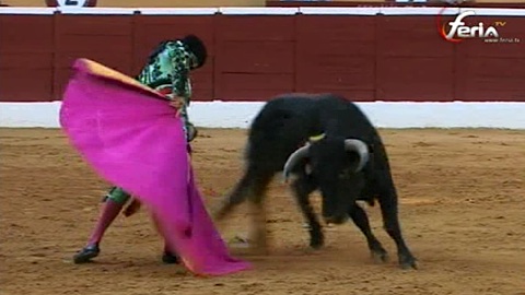 marbella-novillada-de-buenavista