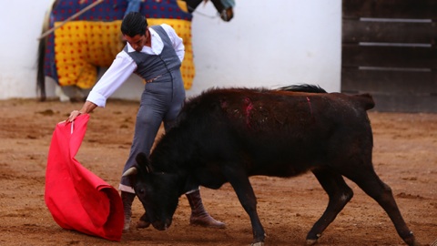 tentadero-mexicain-pour-marc-serrano