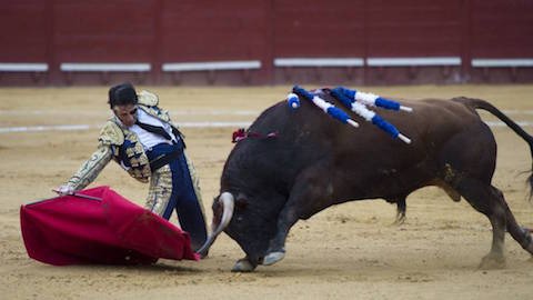 jerez-susto-et-triomphe-pour-padilla