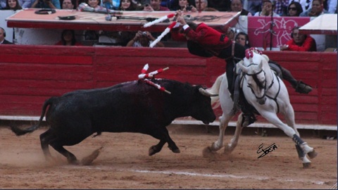 mexicomendoza-pinche-la-puerta-grande