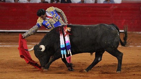 mexico-unique-oreille-pour-jeronimo