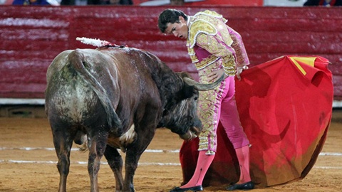 mexico-oreille-pour-spinola-et-luque