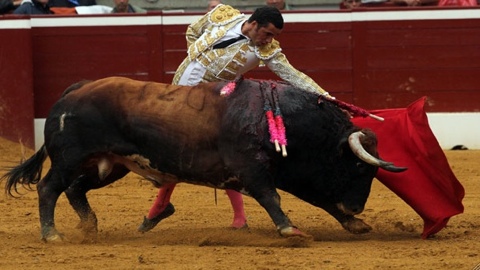 grand-toro-de-marge-tejela-a-hombros