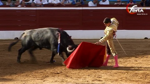 decevante-victorinade-de-cloture
