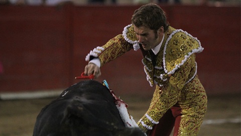 oreille-au-payo-blessure-de-trujillo