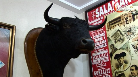 musee-taurin-de-salamanque