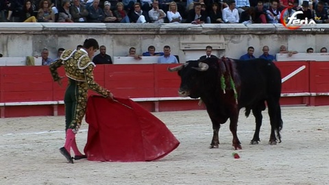 nimes-une-seule-oreille-pour-luque