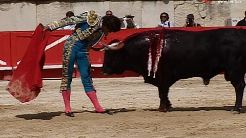 faible-corrida-de-zalduendo