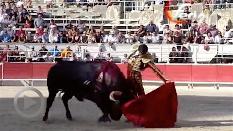 toreo-sans-epee-pour-la-cloture-de-la-feria-du-riz